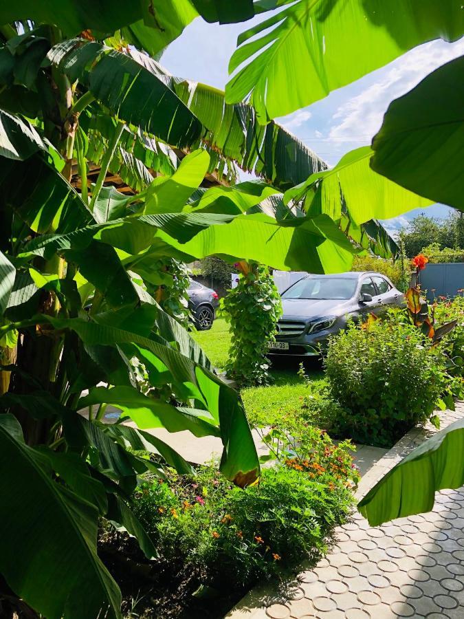 ,,Anna'S" Guesthouse K'vemo Alvani Ngoại thất bức ảnh