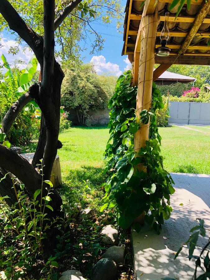 ,,Anna'S" Guesthouse K'vemo Alvani Ngoại thất bức ảnh