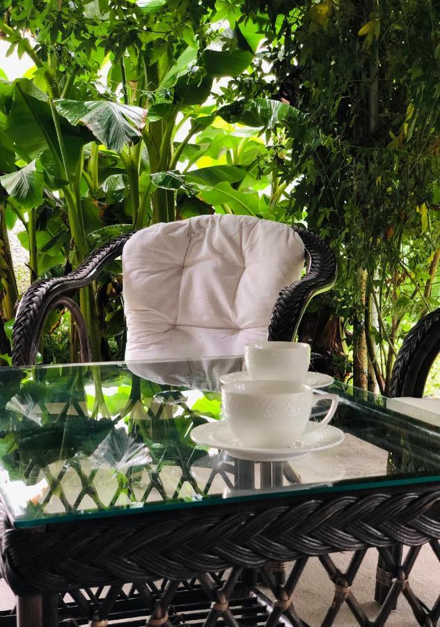 ,,Anna'S" Guesthouse K'vemo Alvani Ngoại thất bức ảnh