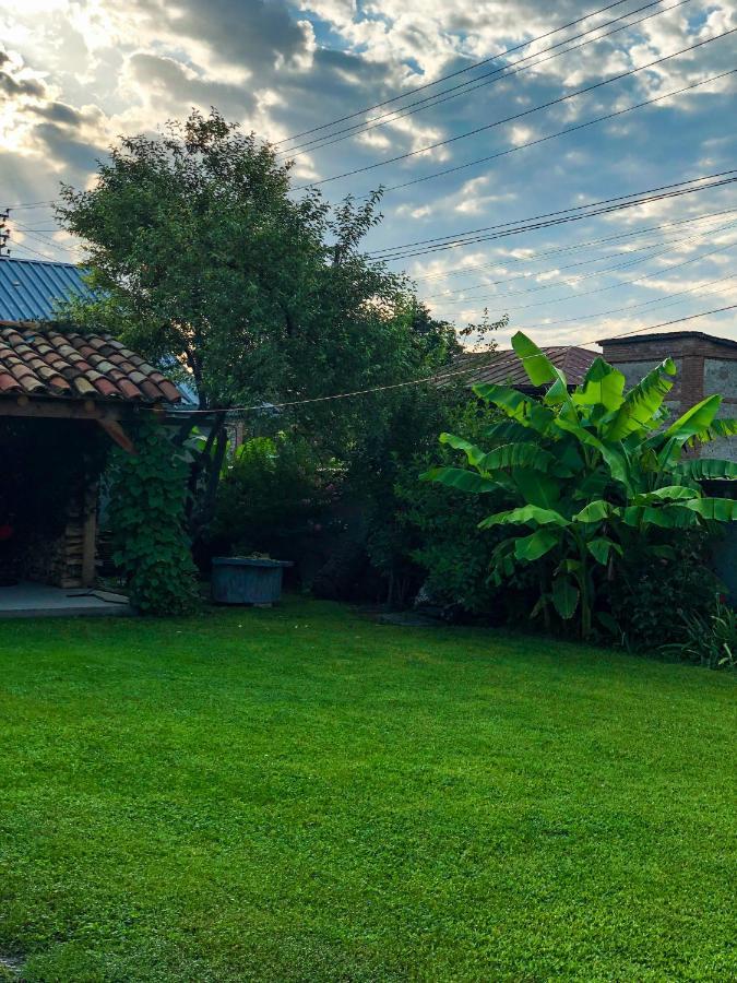 ,,Anna'S" Guesthouse K'vemo Alvani Ngoại thất bức ảnh