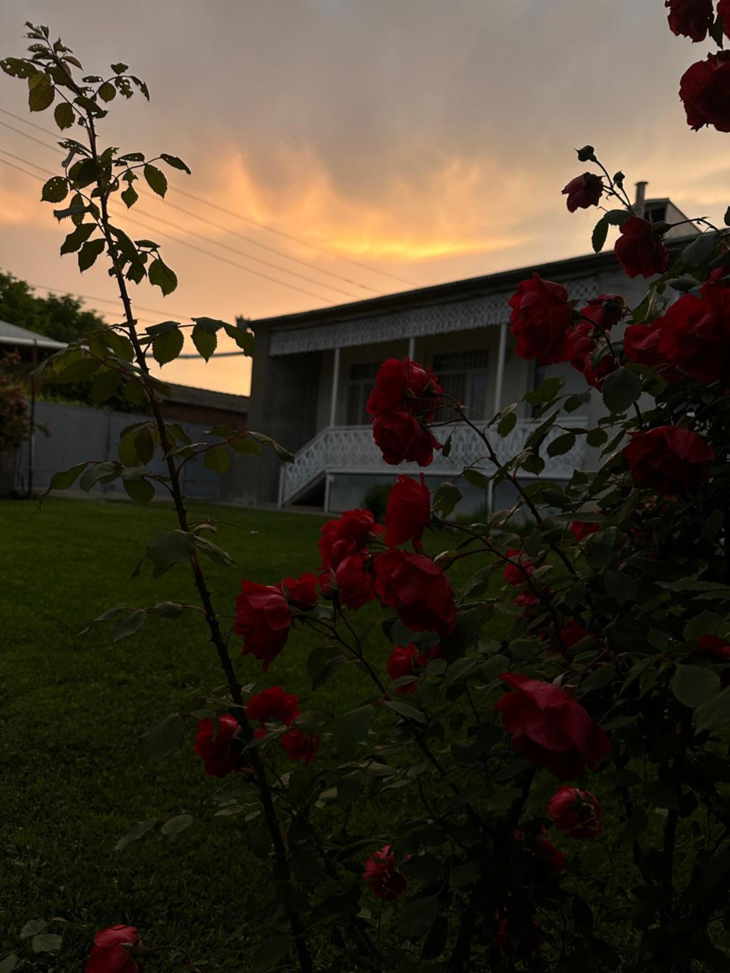 ,,Anna'S" Guesthouse K'vemo Alvani Ngoại thất bức ảnh